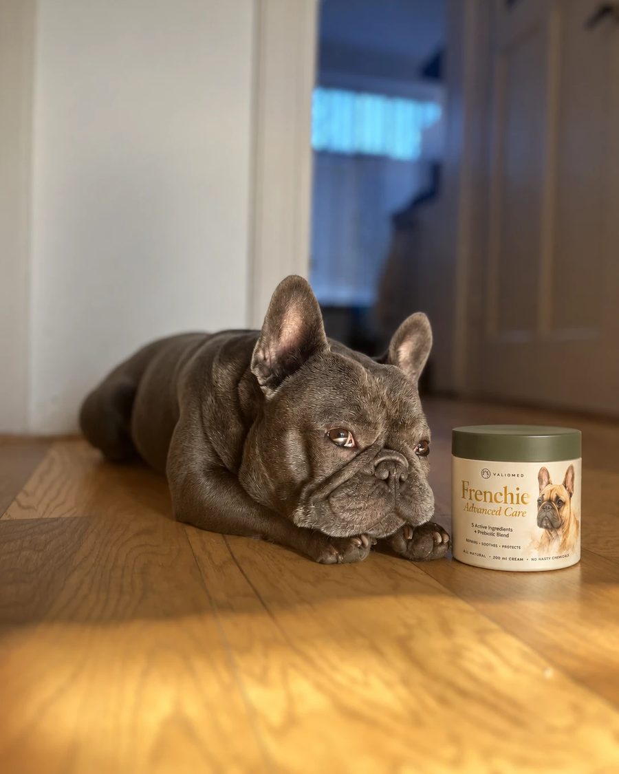 Nala lying on a wooden floor beside her tub of ValioMed
