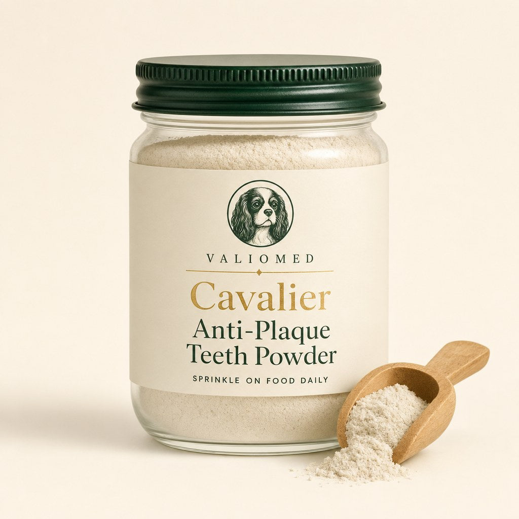 Cavalier Anti-Plaque Teeth Powder