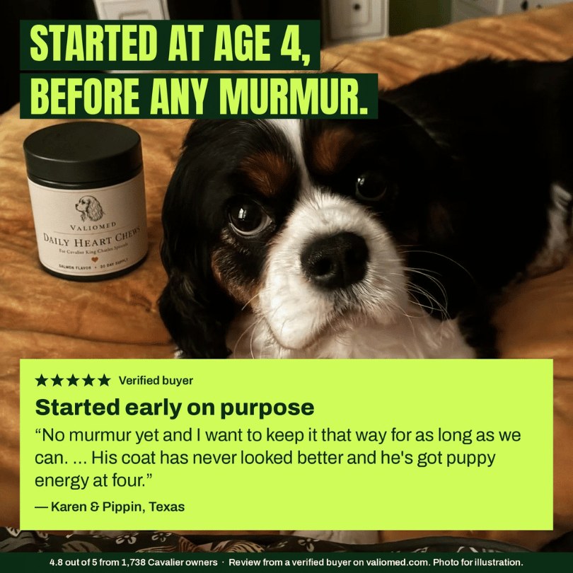 Owner review from Karen and Pippin: started early on purpose