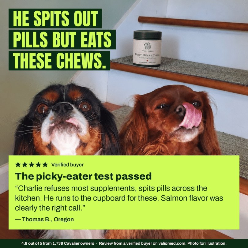 Owner review from Thomas B.: he spits out pills but eats these chews
