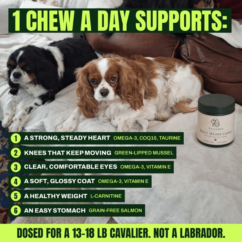 One chew a day supports heart, knees, eyes, coat, weight and stomach