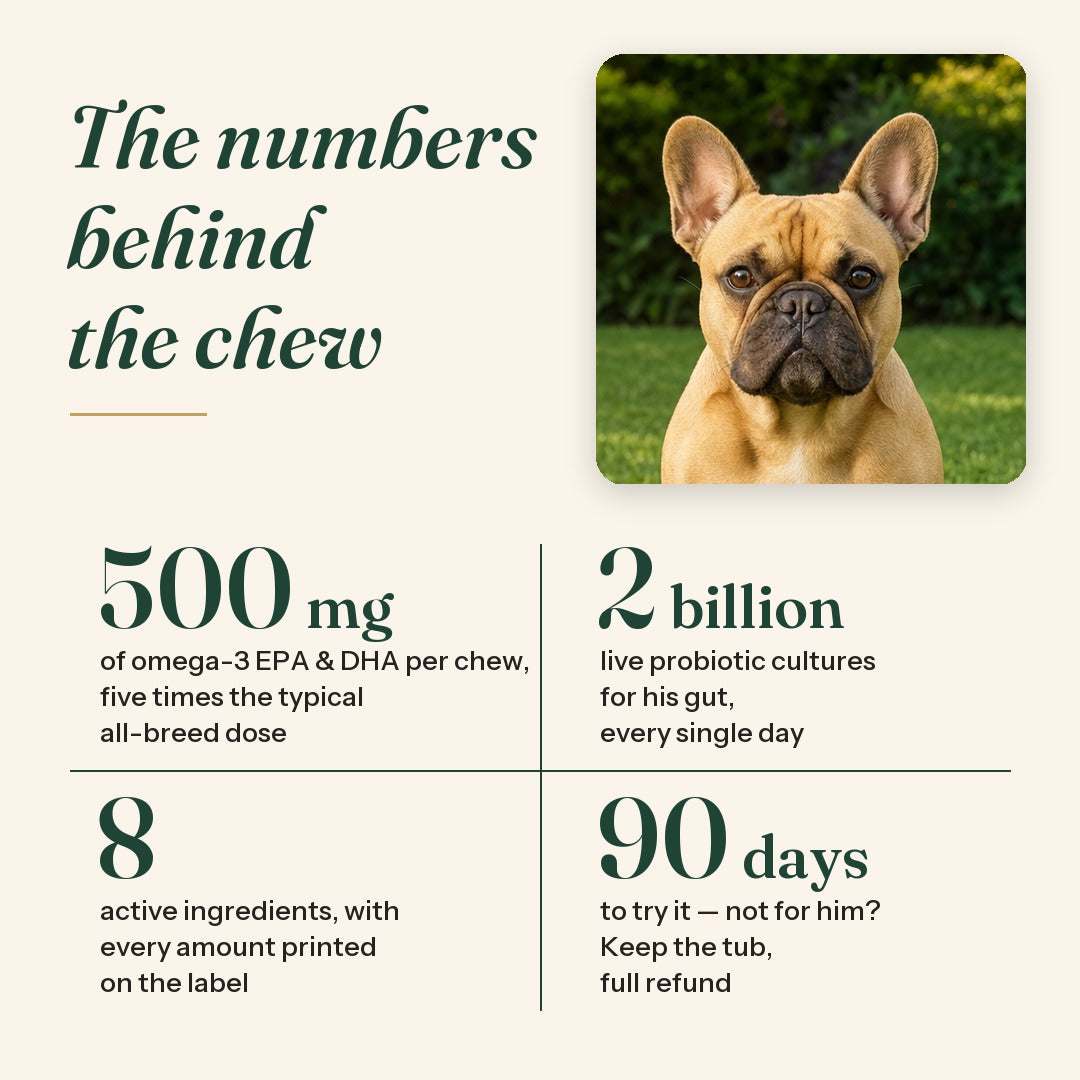 The numbers behind the chew: 500 mg omega-3 per chew, 2 billion live cultures a day, 8 ingredients on the label, 90 days to try it