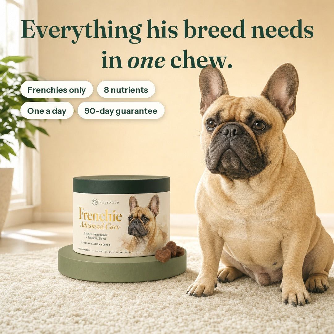 Everything his breed needs in one chew: for Frenchies only, 8 targeted nutrients, one chew a day, 90-day money-back