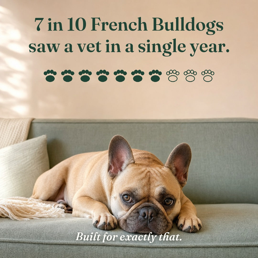 7 in 10 French Bulldogs saw a vet in a single year
