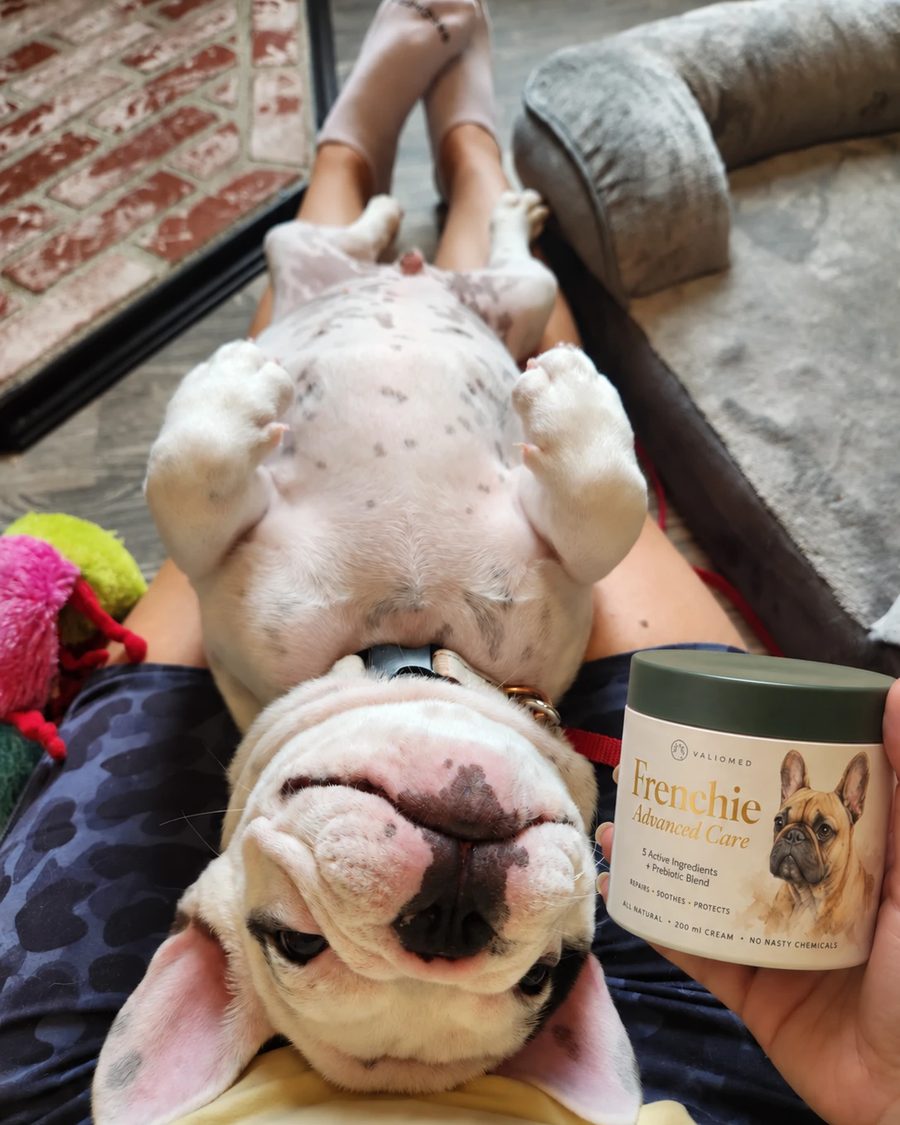 Bear lying belly up in his owner's lap while she holds his tub of ValioMed