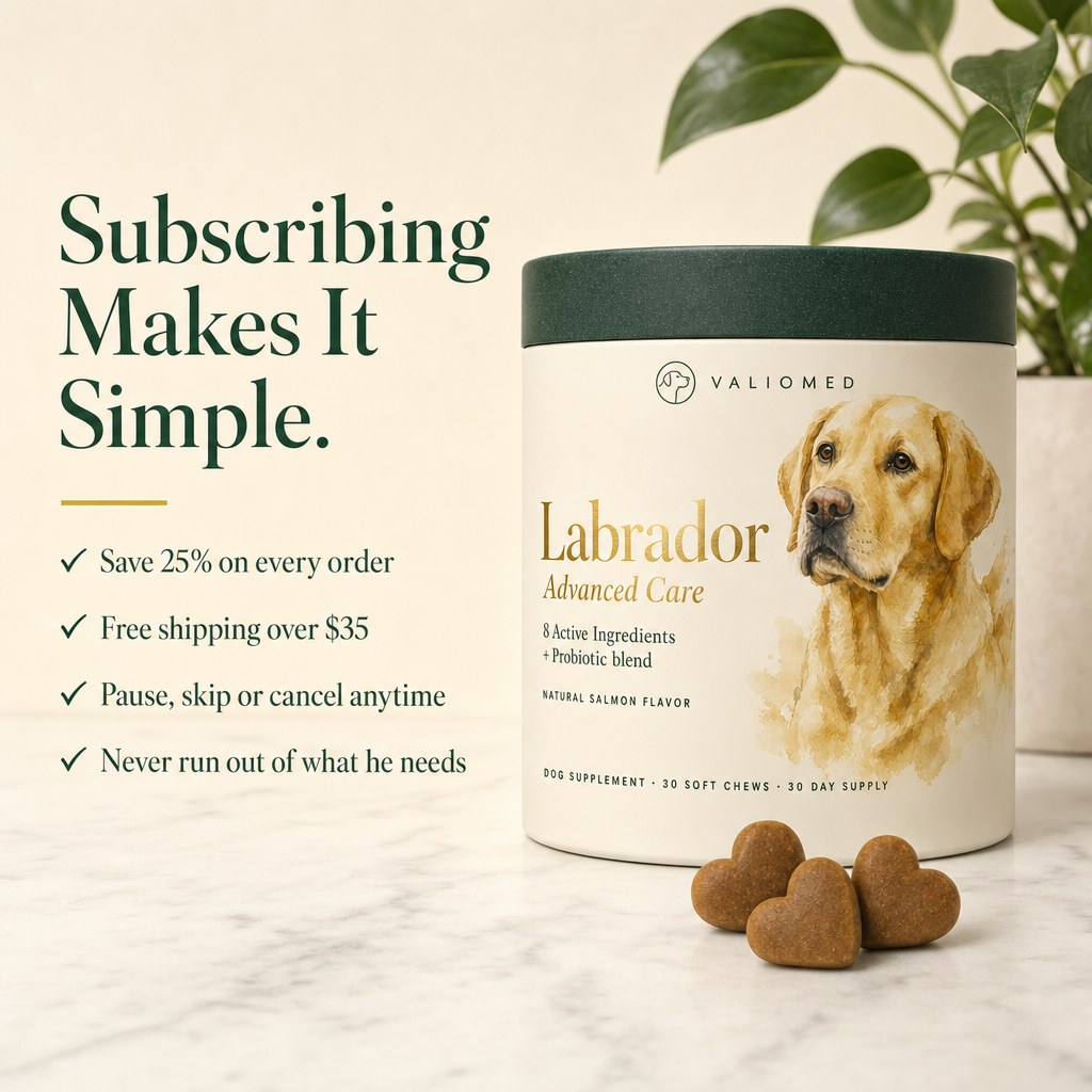 Subscribing makes it simple
